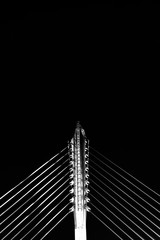 Obraz premium Seri Saujana Bridge is Modern bridge architecture at Putrajaya