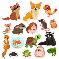 Set of cartoon pets. Collection of various domestic mammals, rodents, birds, reptiles. Vector illustration of animals for children. Drawing for children.