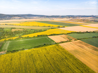 Obraz premium Fields