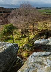 Fototapeta premium Landscape view from the area of Shaftoe Crags, in Northumberland, England, UK,
