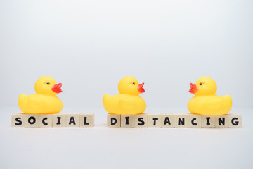 Yellow rubber ducks with social distancing word written on wood block isolated over white background. Virus outbreak prevention using unique rubber duck concept. 