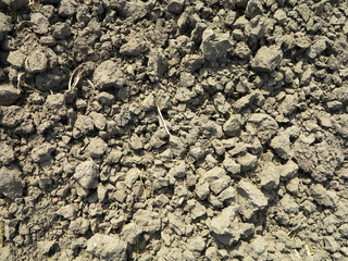 black soil plowed on the field