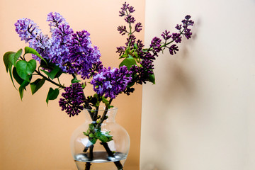 small vase with fresh lilacs