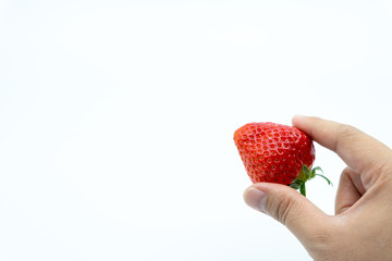 Hand with fresh strawberries on white background