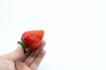Hand with fresh strawberries on white background
