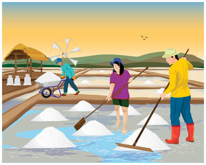 Fototapeta premium agriculturist work in saline field vector design