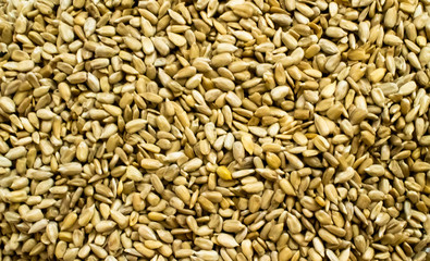 background of sunflower seeds close-up. texture
