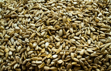 background of sunflower seeds close-up. texture