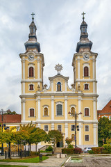 Fototapeta na wymiar Church of the Assumption, Miskolc, Hungary
