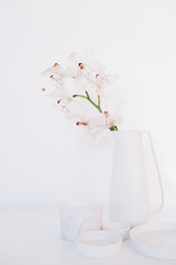 Spring Flowers