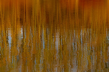 Abstrakte Spiegelung eines Waldes auf der Wasseroberfläche