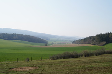 Tal