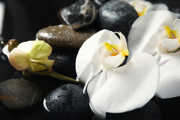 Spa stones and orchid flowers in water on black background, closeup. Zen lifestyle