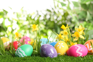 Fototapeta na wymiar Colorful Easter eggs and daffodil flowers in green grass
