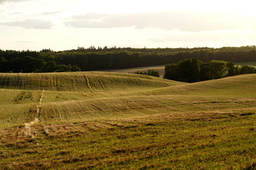 Feld in Mecklenburg-Vorpommern
