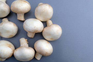 White mushrooms champignon