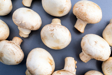 White mushrooms champignon