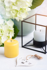 White green hortensia flowers