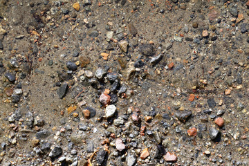 Rocks, sand and birch tree leaves underwater at a Finnish beach.  Beautiful texture. Colorful rocks, brown sand, green and brown leaves and clear water. Photographed directly from above. Color photo.