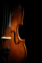Beautiful classic wooden violin on black background