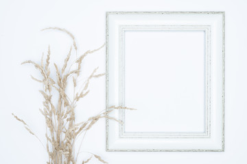 Green leaves with white photo frame on white background. Flat lay, top view, space.