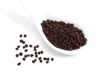 GRAINS OF PARADISE aframomum melegueta, AN AFRICAN SPICE   .