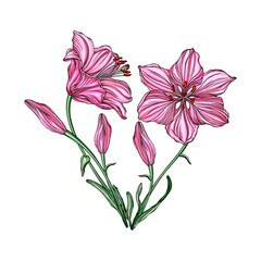 Flower arrangement of heart shape with flowers lilies.