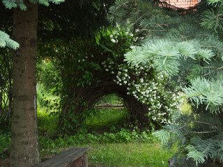 Fototapeta Urokliwe miejsca starego ogrodu w wiosennym dniu z kwitnącymi krzewami i z tradycynmi ławkami obraz