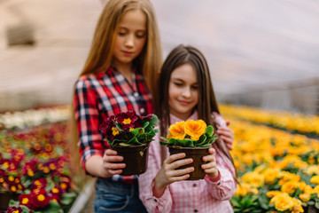 Fototapeta na wymiar two little girls are looking at flowerpot in flower center