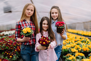 three little girls looking at flowerpot in flower center