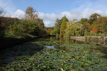 Atatürk Arboretum is an arboretum 