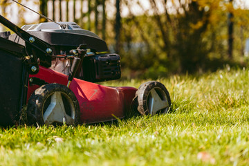 mowing grass in the garden a lawn mower