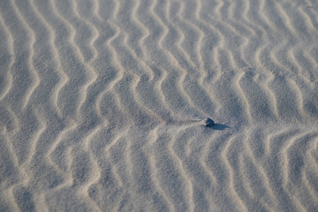 Sand Journey, texture and background of sand.