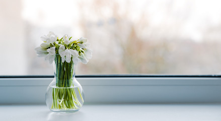 beautiful bouquet of snowdrops in a glass vase near the window on the windowsill. free space, background.