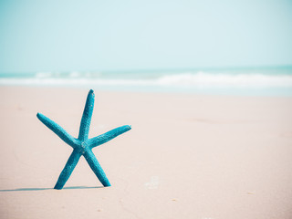 Fototapeta na wymiar Blue starfish on sand and sea background with copy space.