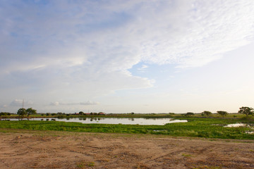 Paisaje llanero con laguna y barro © JhojanLopezPH