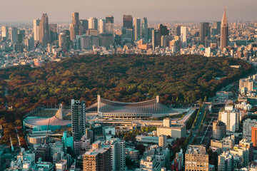 Obraz premium 都会を見下ろす