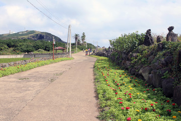 Jeju do coast road