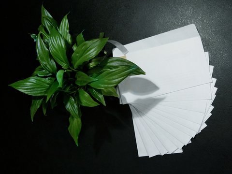 White envelopes lying next to the flower.  A lot of invitations