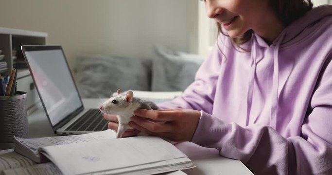 Smiling teenage school girl playing with cute funny rat sitting at home table. Happy teen holding small mouse pet in hands having fun with domestic animal studying alone in her room. Close up view