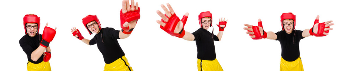 Funny boxer isolated on the white background