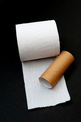 Single roll of unrolled white toilet paper and paper core tube. Isolated on black background....