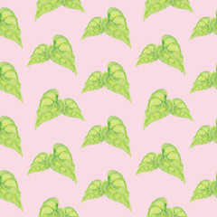 Watercolor tropical leaves seamless pattern. Pastel colored pink background. Hand drawn bright illustration of veined textured Alocasia leaf. Botanical background of tropical plant
