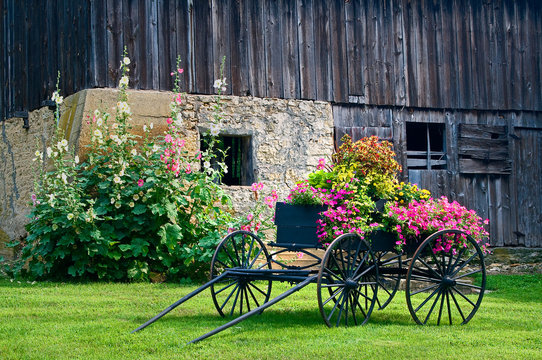 An old weathered barn in the Midwest countryside forms  a backdrop for an antique wagon filled with flowers.