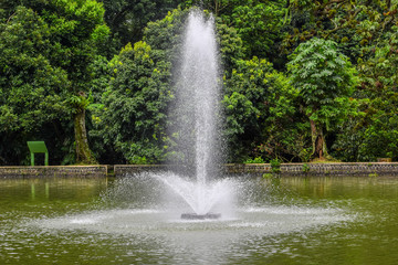 Natural beauty captured in the moment of the photo