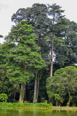 Fototapeta premium Natural beauty captured in the moment of the photo