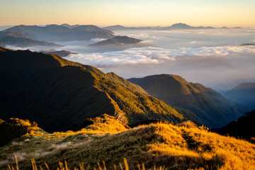 Obraz premium Scenic view of the sea of clouds at the summit of Mount Pulag National Park, Benguet, Philippines