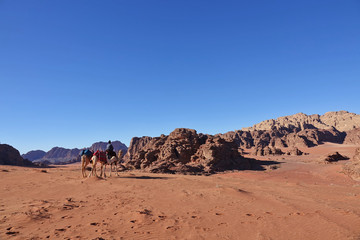Fototapeta na wymiar Paysage du Wadi Rum en Jordanie