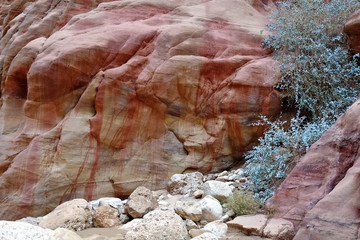 Roches colorées du Wadi Araba en Jordanie