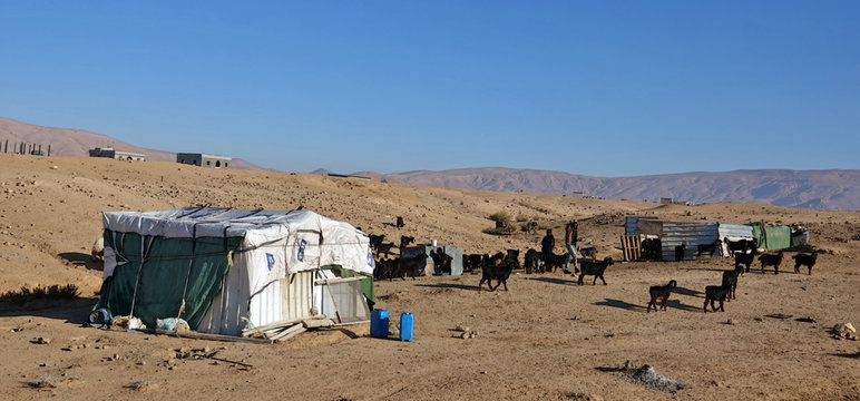Troupeau de ch&egrave;vres des nomades dans le d&eacute;sert Jordanien
